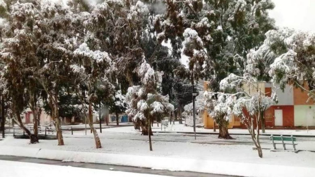 Vecinos socorrieron a mendigo, víctima de la nevada
