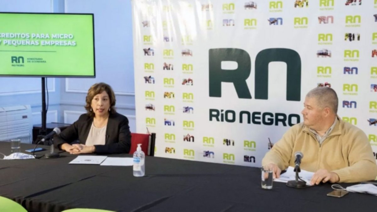 Río Negro: Todos los índices de ingresos están en rojo