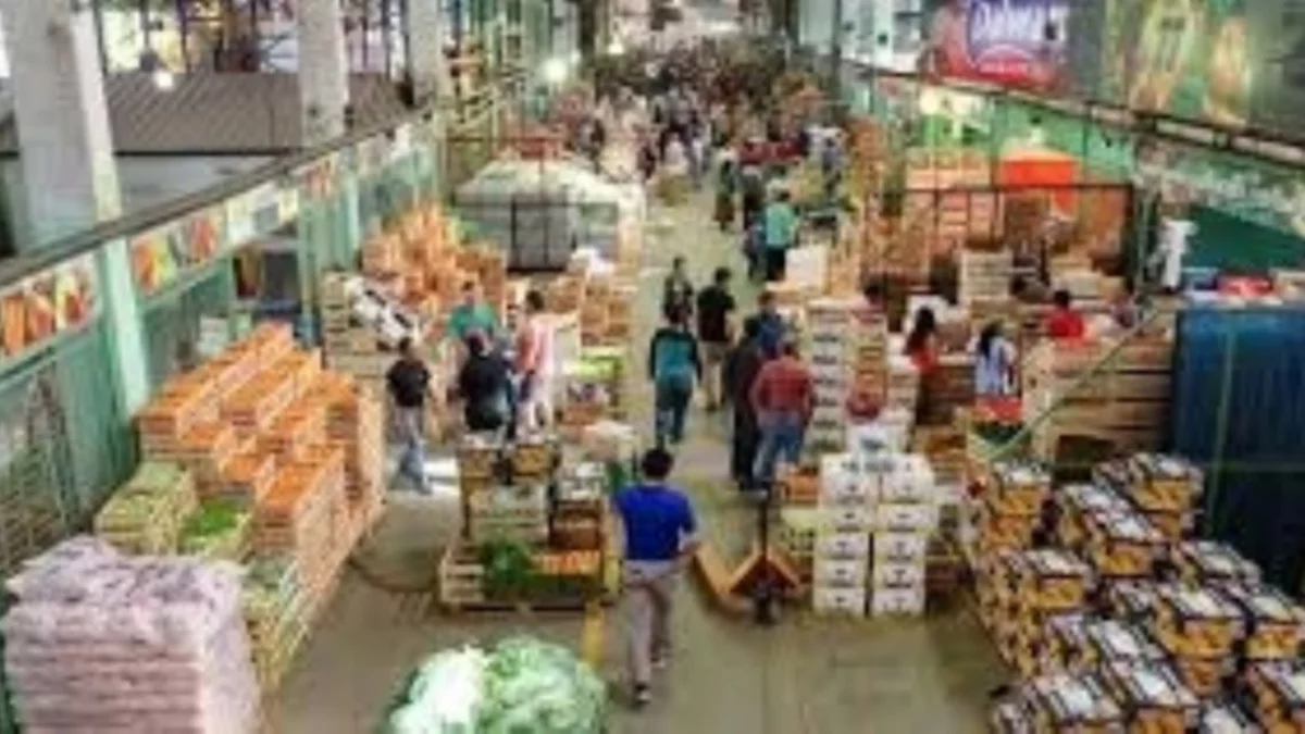 Gobierno anuncia más rigor en control ingreso de frutas y verduras