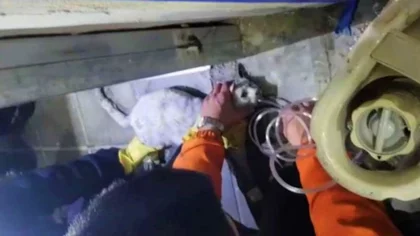 Los bomberos revivieron a un gatito atrapado en un incendio