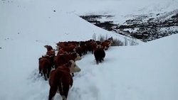 Encontraron a los crianceros desparecidos en Los Miches