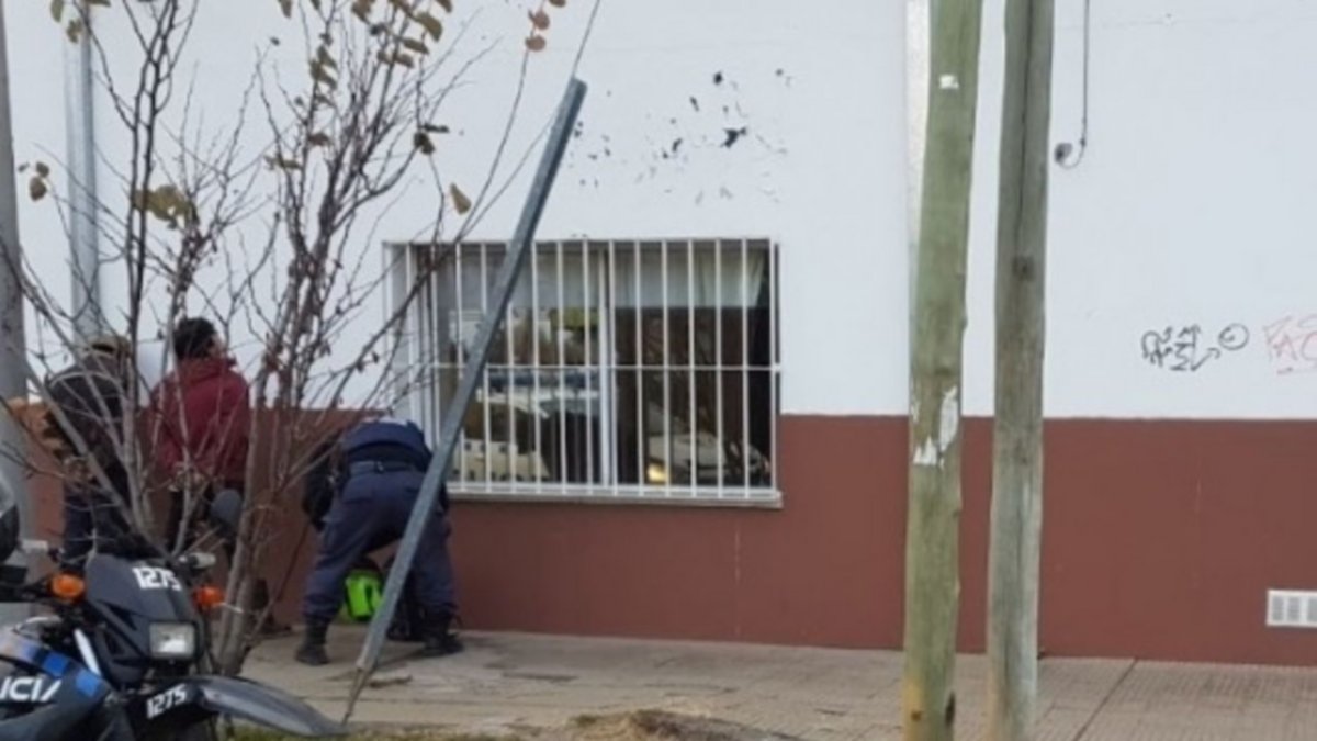 Dos sin vergüenza: a las patadas con puerta de comercio