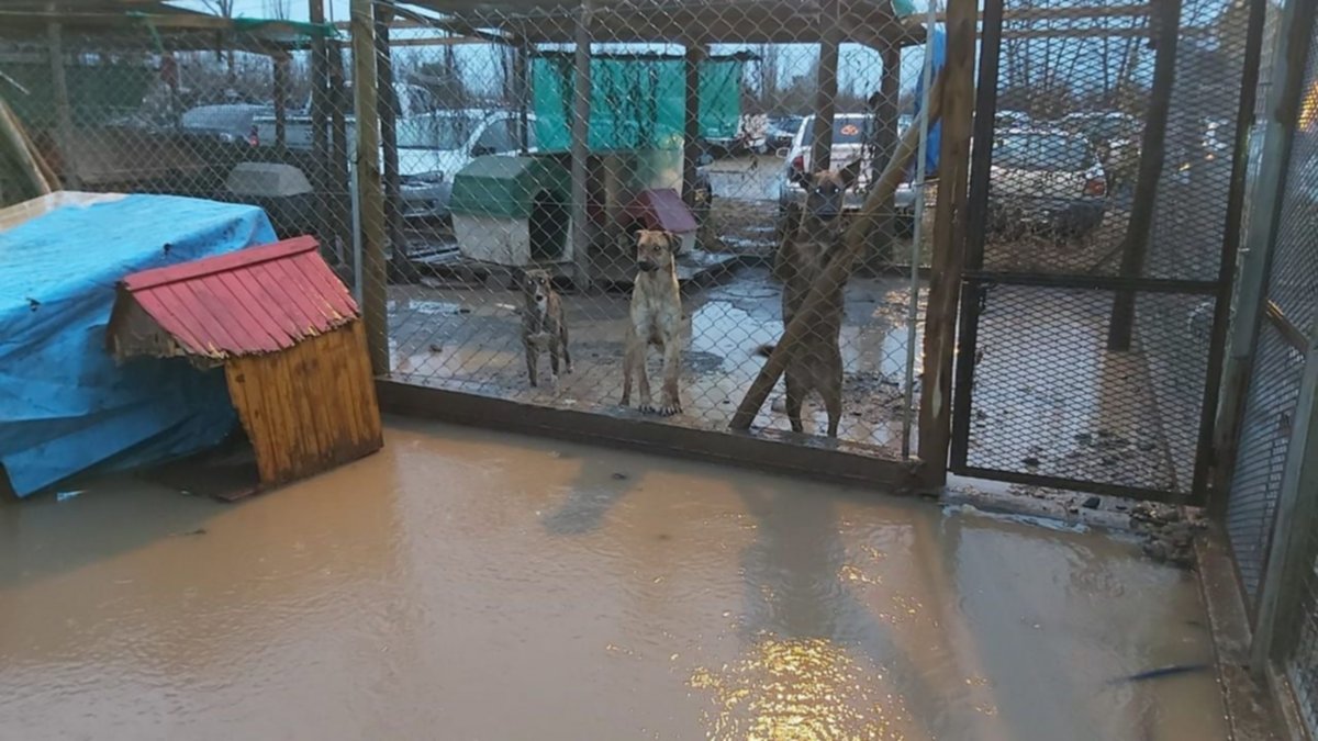 La lluvia también afecta los refugios de Cipolletti