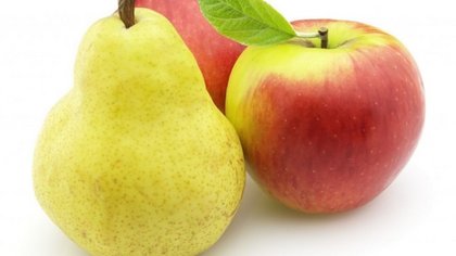 Nación asistirá a producción de peras y manzanas