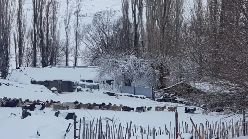 Tras las nevadas, llegó otra emergencia por desastre