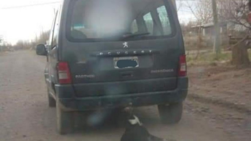 Lo escracharon por arrastrar un perro con su camioneta