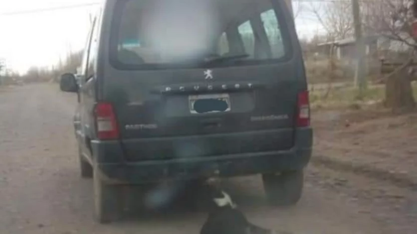 Lo escracharon por arrastrar un perro con su camioneta