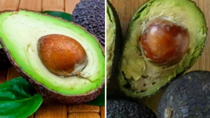 Amantes de la palta: la mejor forma de conservarla cortada