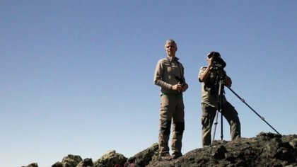 El rey del aire puede planear durante 5 horas sin mover sus alas