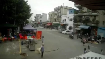 Una anciana murió tras enredarse con la cadena de un perro