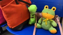 Con 10 años, fue a abortar con sus juguetes de peluche