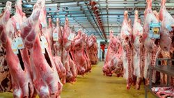 Federación de la carne cerró paritarias con un aumento del 28%