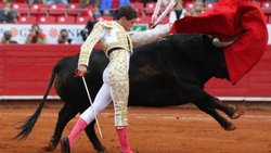 Toros, el primer espectáculo público... con público