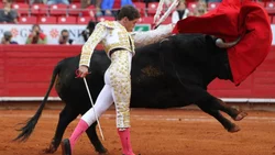 Toros, el primer espectáculo público... con público