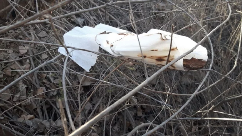 Llegó la "temporada" de piromaníacos en las chacras