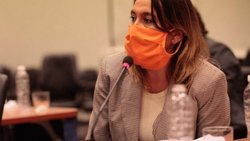 Matzen pidió refuerzo sanitario en Río Negro