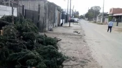 Fusilan a una adolescente, investigan si fue un ataque narco
