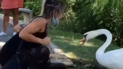 Un ganso le enseña a una mujer el uso de barbijo