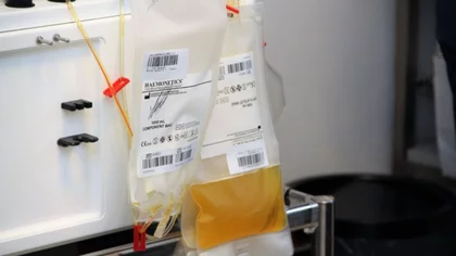 Mas de 200 neuquinos recibieron plasma
