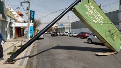 Apagón, carteles y árboles caídos por el viento, en Neuquén