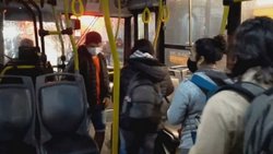 "Ahora viajan todos, no somos inspectores, somos choferes"