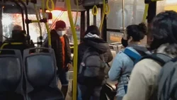 "Ahora viajan todos, no somos inspectores, somos choferes"