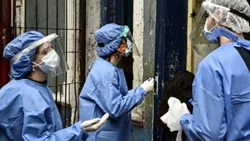Reporte diario del país y la región