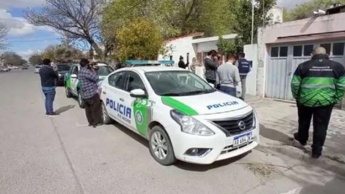 Liberaron perros y gatos que estaban en estado de abandono