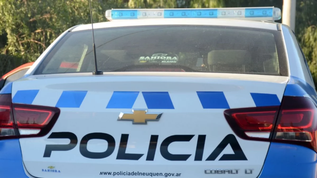 Encontraron a la adolescente buscada en la meseta