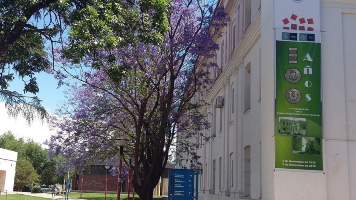 Escándalo universitario: cobraban para aprobar materias