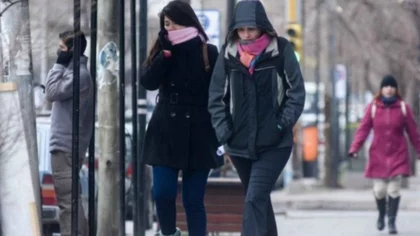 Vuelven los días fríos en la zona con heladas incluidas