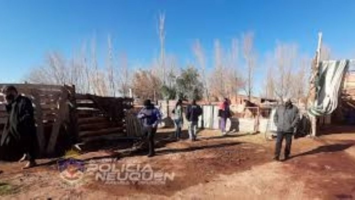 Mataba caballos a mazazos, los faenaba y vendía su carne