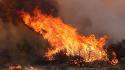El viento de hasta 80 Km/h dificulta el combate de las llamas