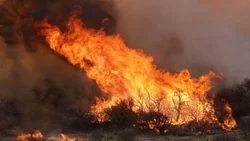 El viento de hasta 80 Km/h dificulta el combate de las llamas