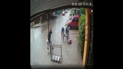Impresionante ataque de un pitbull a una nena de 7 años