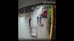 Impresionante ataque de un pitbull a una nena de 7 años