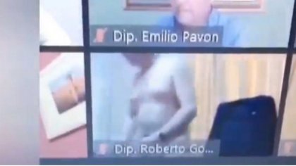 Escándalo con otro diputado por zoom: ¡apareció desnudo!