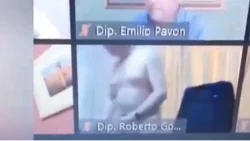 Escándalo con otro diputado por zoom: ¡apareció desnudo!