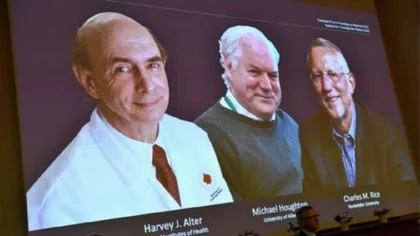 Nobel de Medicina para descubridores del virus de hepatitis C