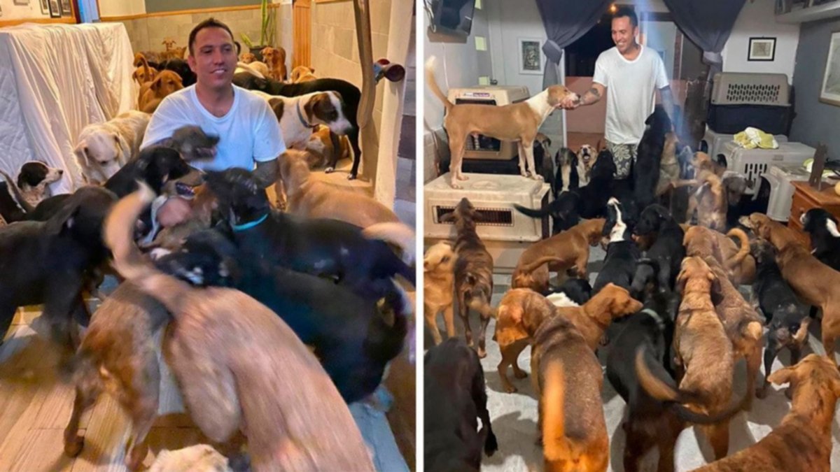 Albergó a 300 animales para protegerlos del huracán Delta