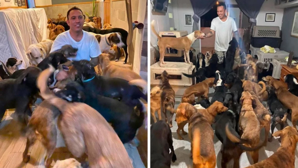 Albergó a 300 animales para protegerlos del huracán Delta