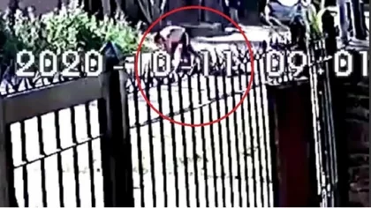 Impactante video: Le sacó el arma al ladrón, lo corrió y lo mató