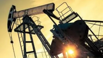 El barril de petróleo, las perspectivas y los resultados de la industria