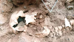 Encontraron un esqueleto en la Margen Sur