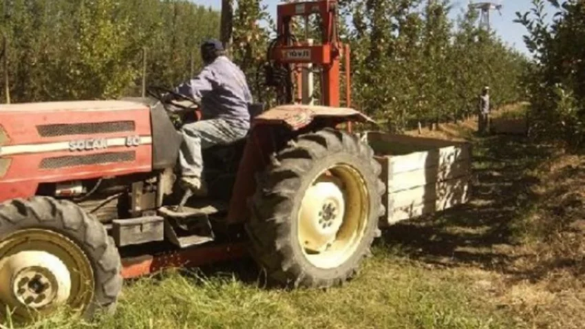 Proponen zona desfavorable para trabajadores rurales