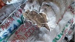 Con las manos en la bolsa... se robó 25 kg de papa