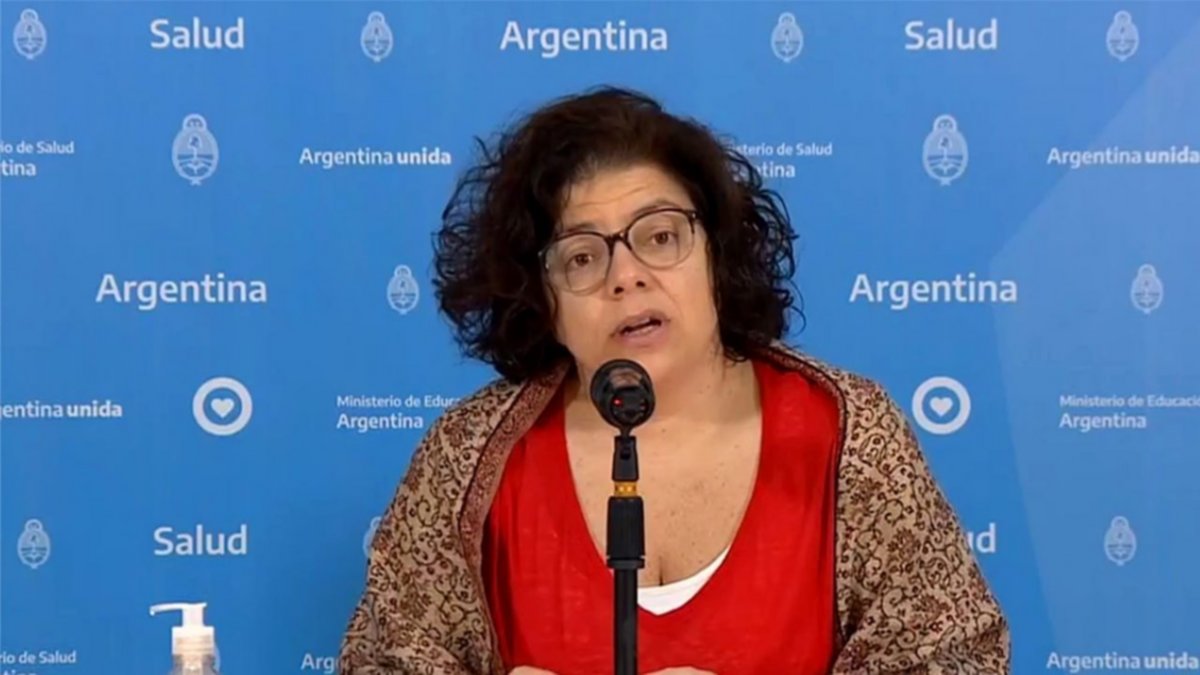 Vizzotti viajó a Rusia para “recabar información” sobre la vacuna