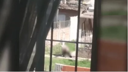Denuncian a mujer que se desnuda en la calle y les "tira caca"