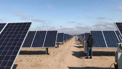 CALF proyecta un parque solar en la Meseta neuquina