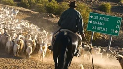 Con 200 aislados Chos Malal se blinda por tres días